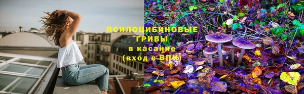каннабис Алексеевка