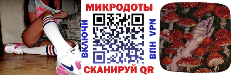 Псилоцибиновые грибы Psilocybine cubensis  KRAKEN ссылки  Камешково 